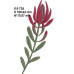 294 FYNBOS