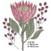294 FYNBOS