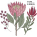 294 FYNBOS