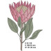 294 FYNBOS