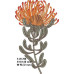 294 FYNBOS