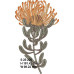 294 FYNBOS