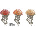 294 FYNBOS