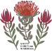 294 FYNBOS