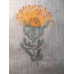 294 FYNBOS