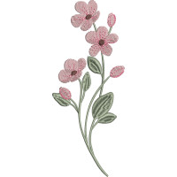 405-Fields of Flowers