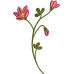 405-Fields of Flowers